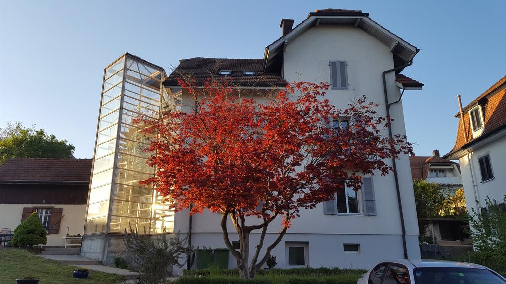 Casa Carmela Hotel Solothurn Eksteriør billede